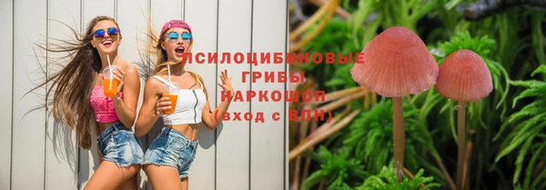 гидропоника Алзамай