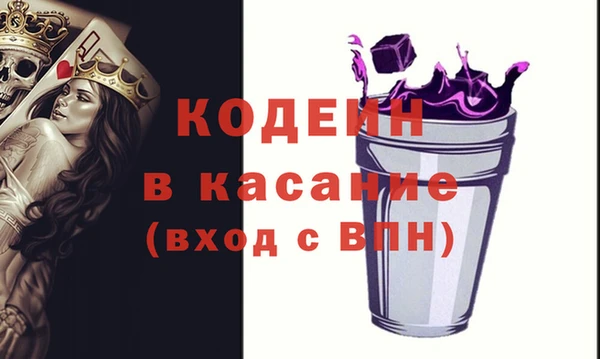 гашик Алексин