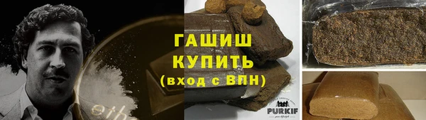 гашик Алексин