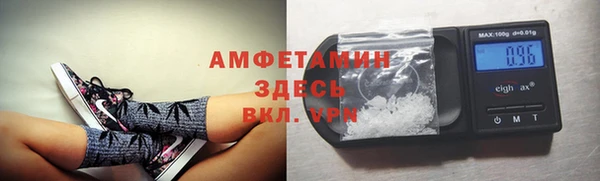 гидропоника Алзамай