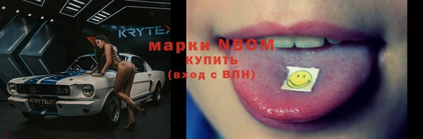 гашик Алексин