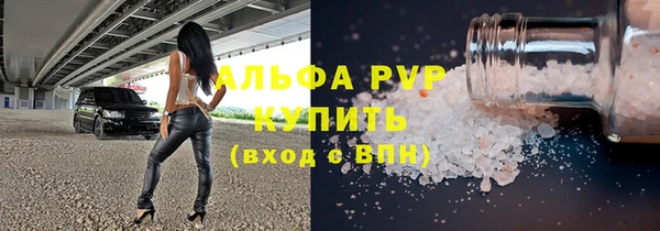 гашик Алексин