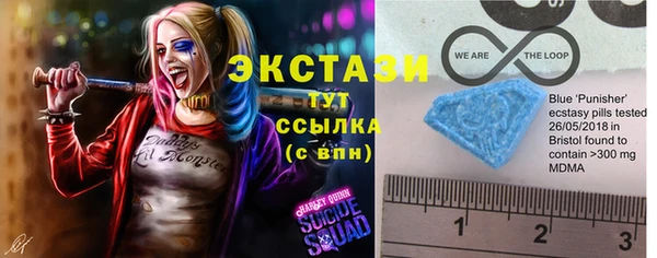 гашик Алексин